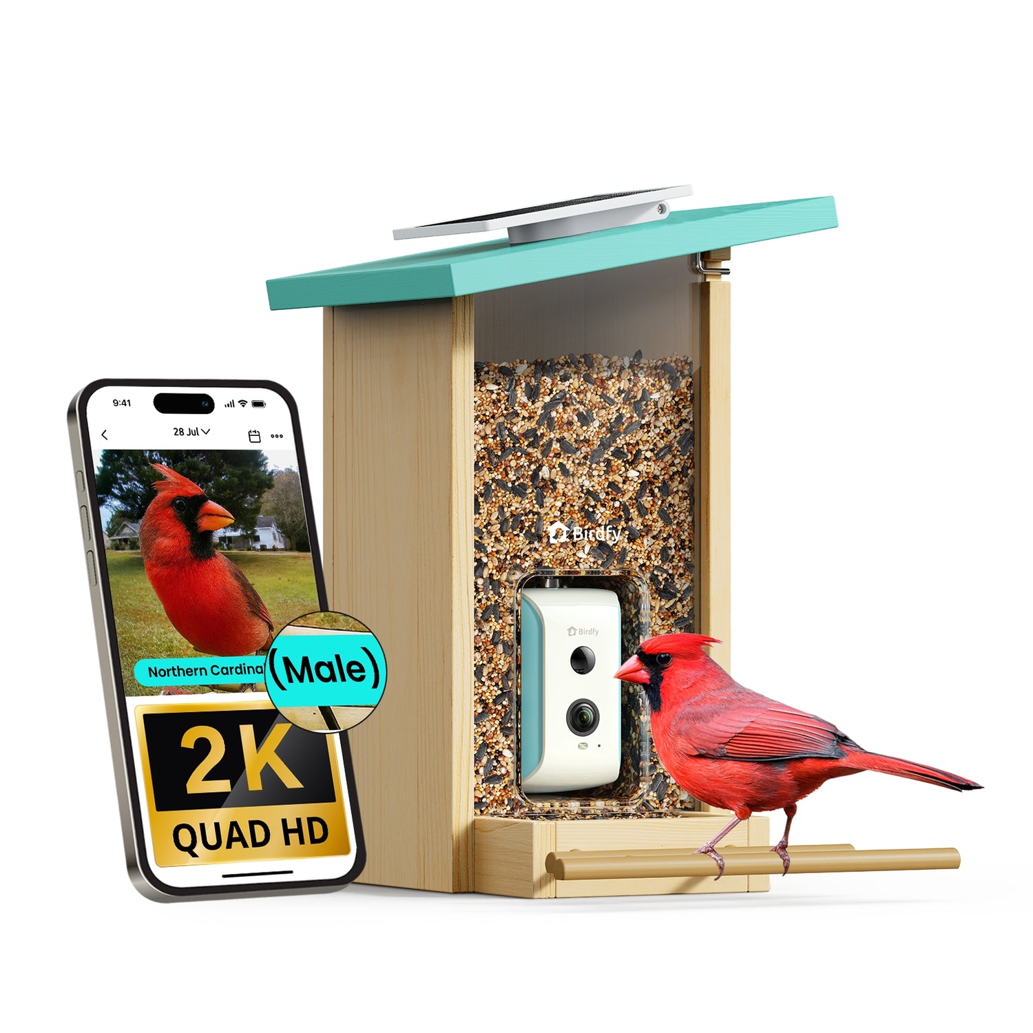 Birdfy Feeder Cyan 2K