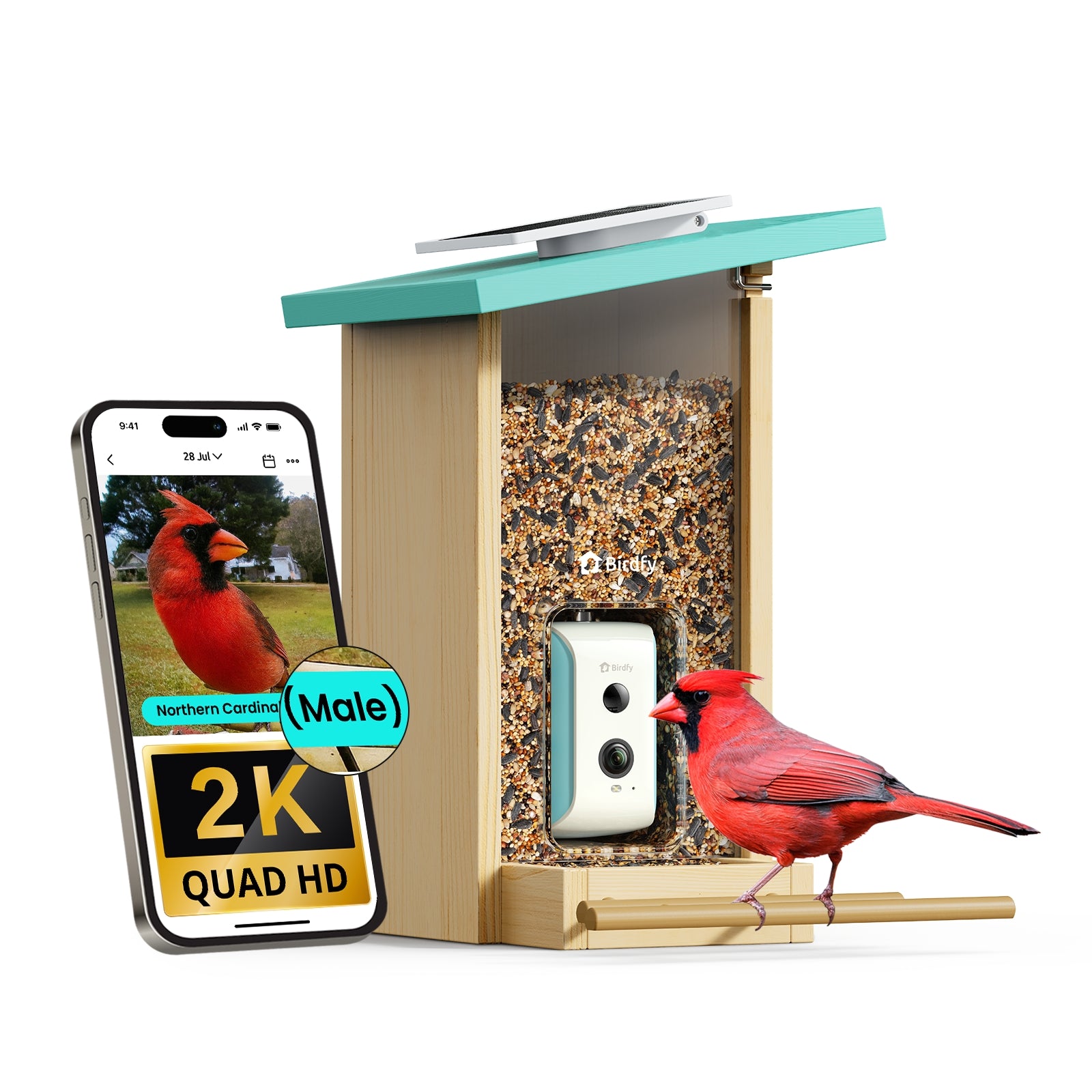 Birdfy Feeder Cyan 2K