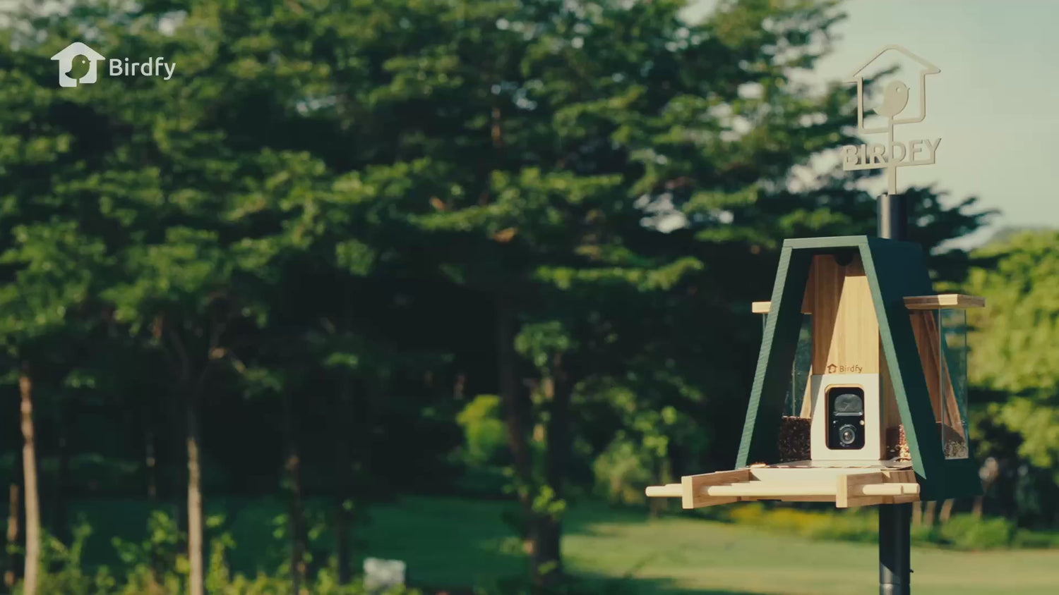 Birdfy Feeder Bamboo A