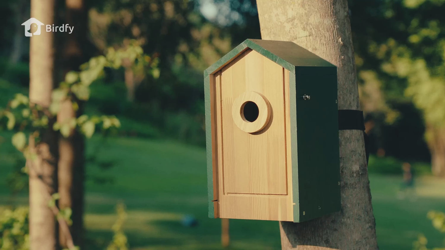 Birdfy Birdhouse Cedar