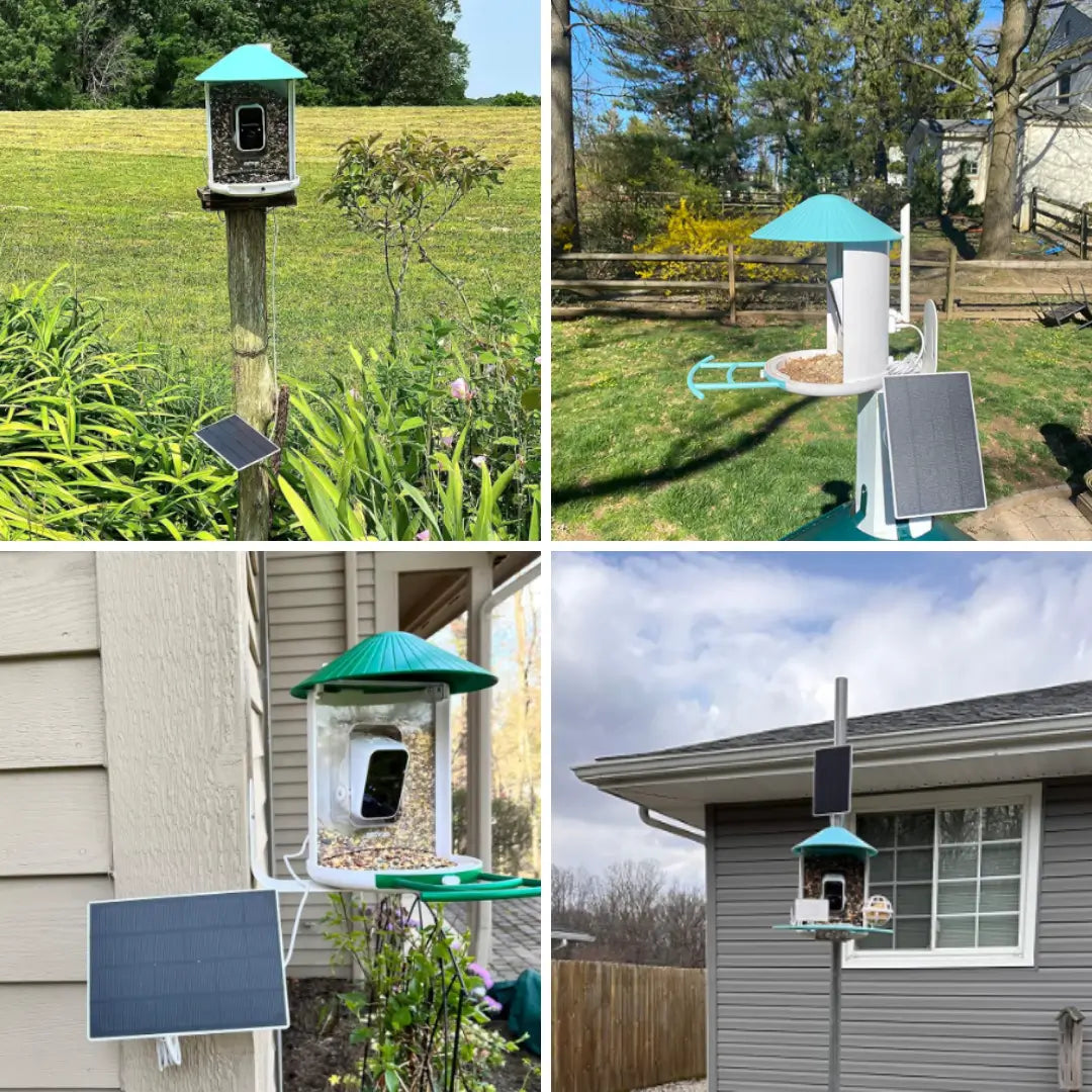 Birdfy Feeder with Solar Panel